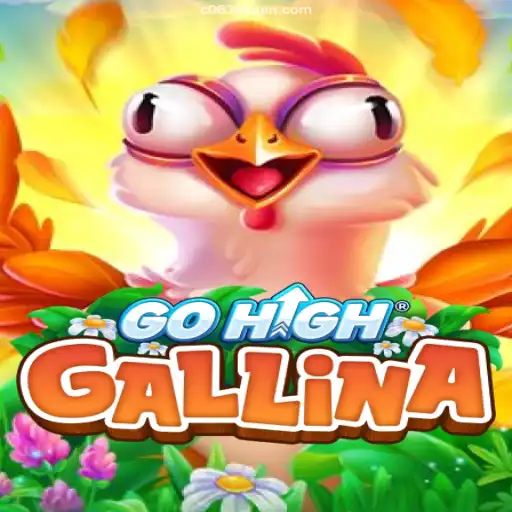 Explore the Exciting World of GoHighGallina